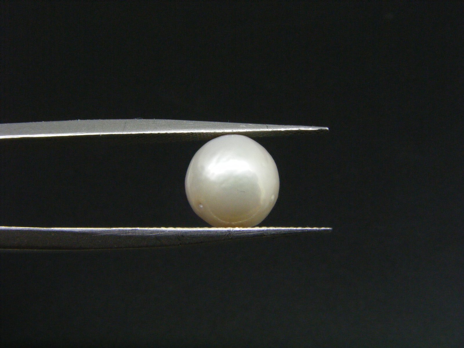 South Sea Pearl
