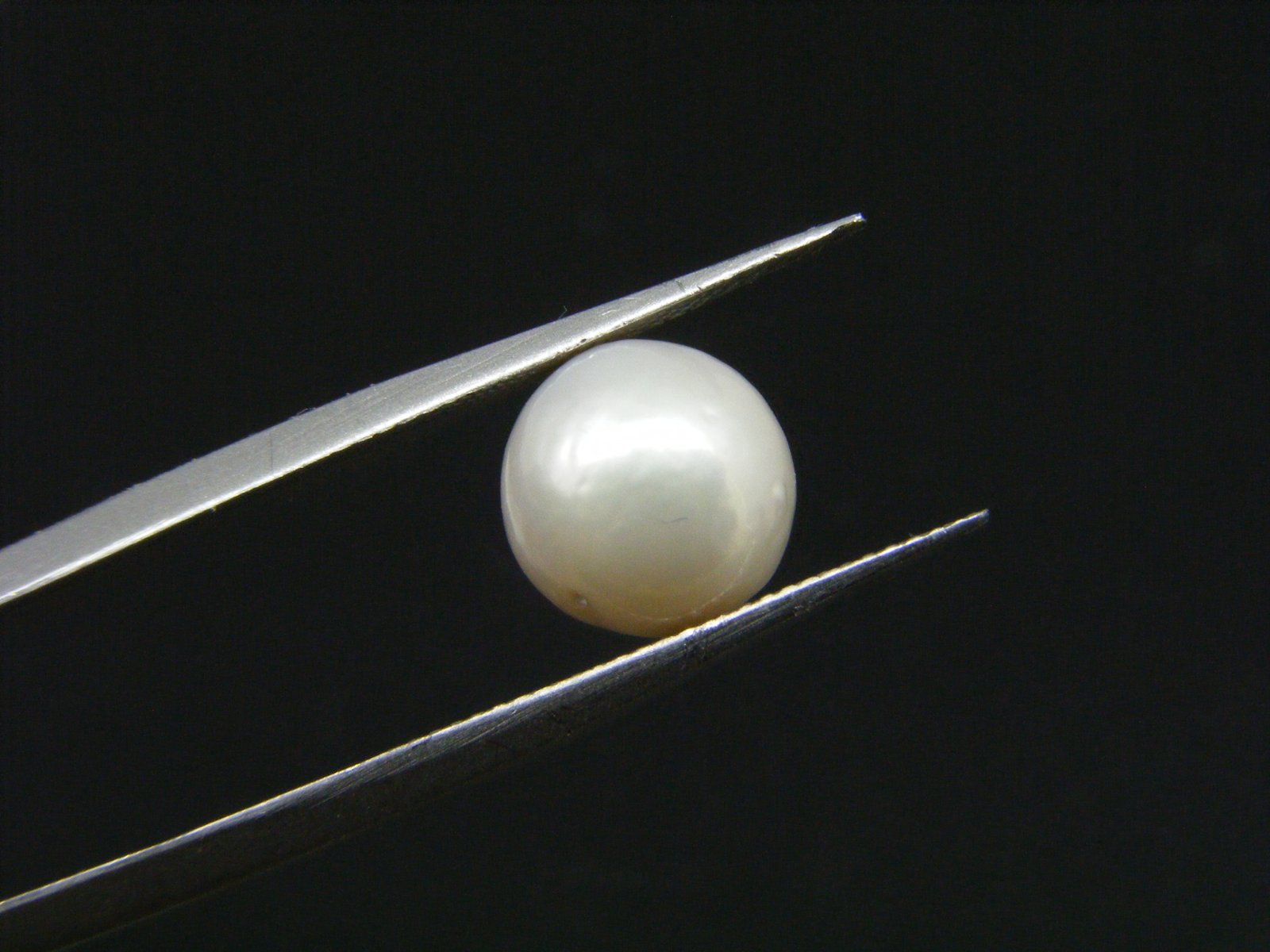 South Sea Pearl