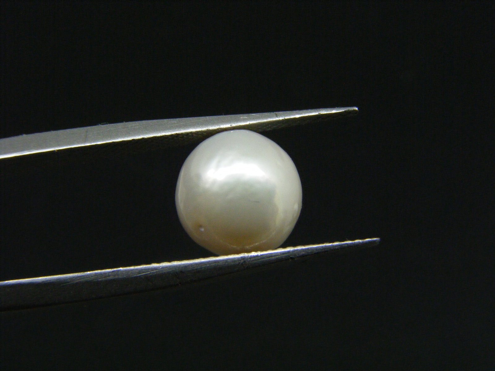 South Sea Pearl