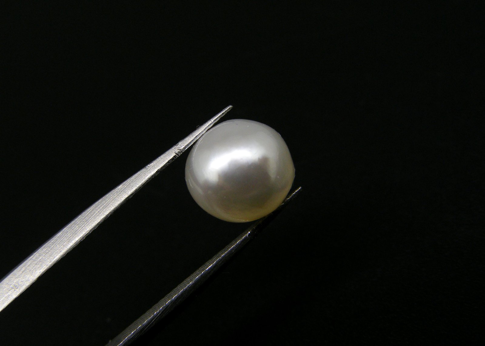 South Sea Pearl