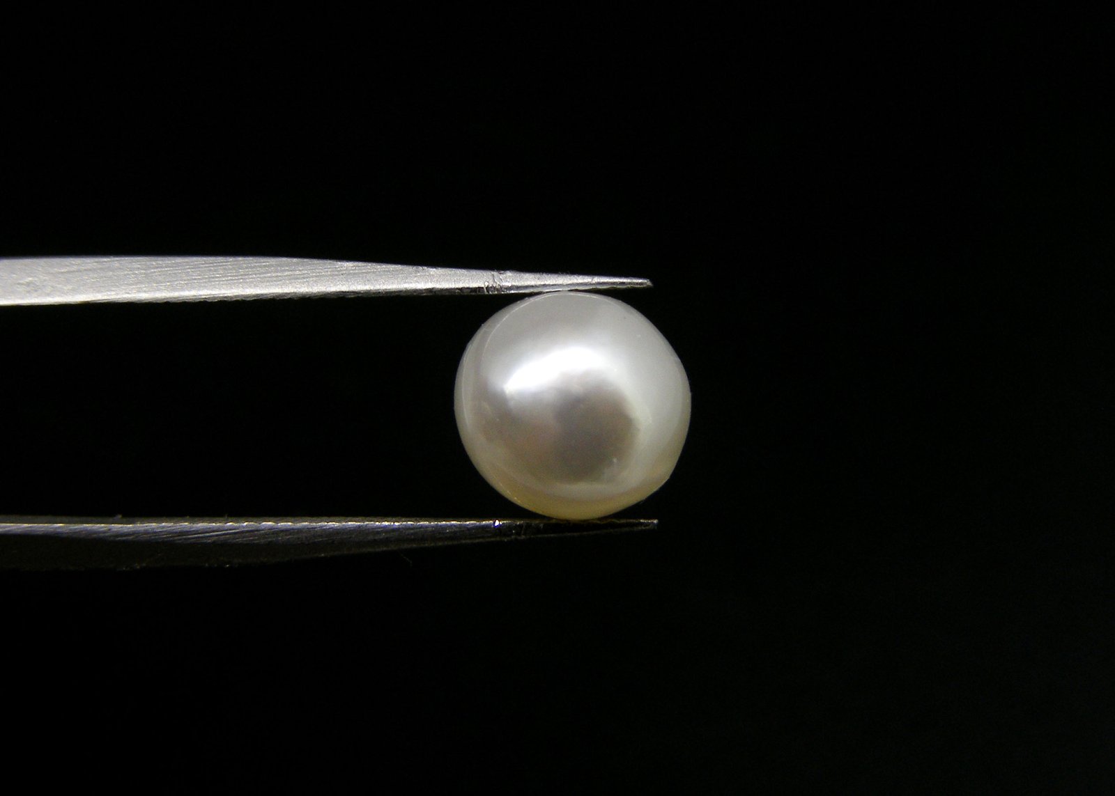 South Sea Pearl