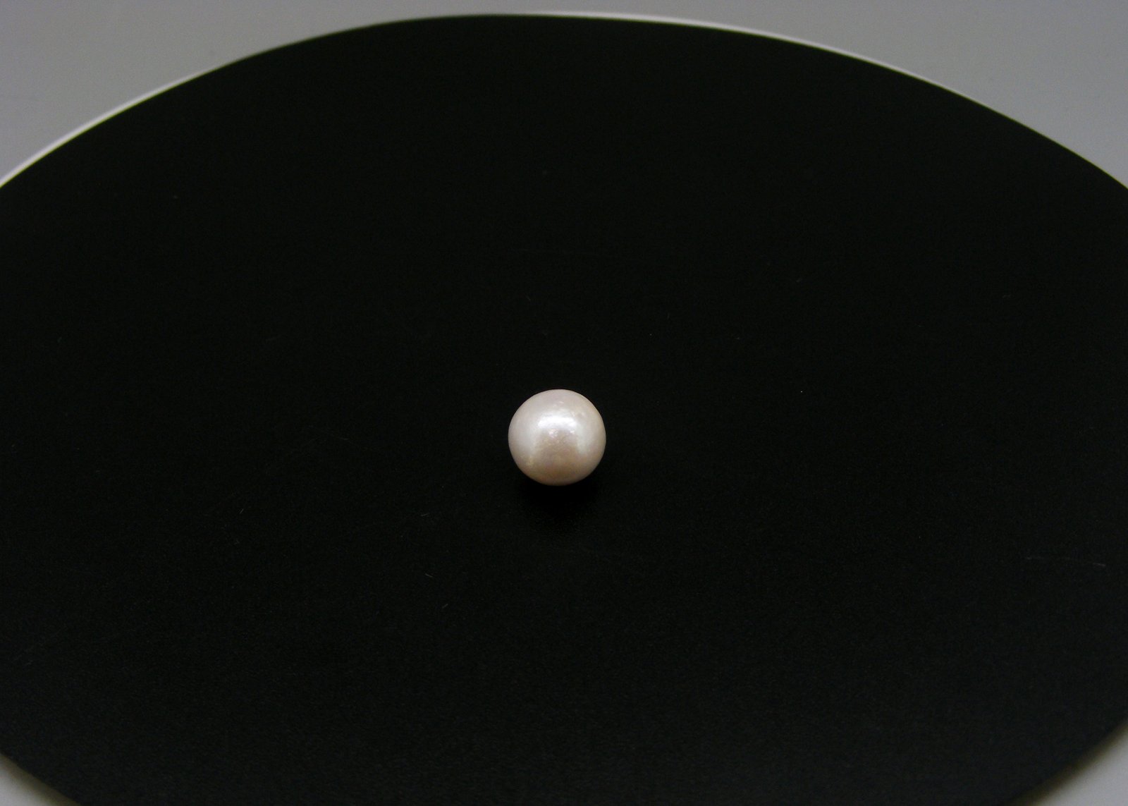 South Sea Pearl