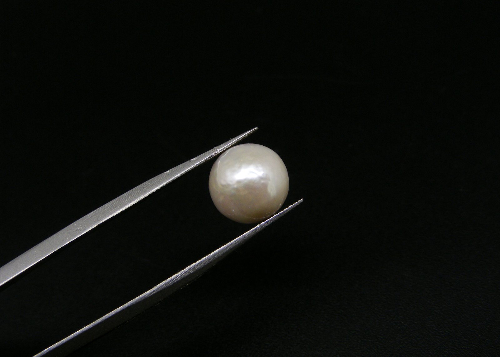 South Sea Pearl