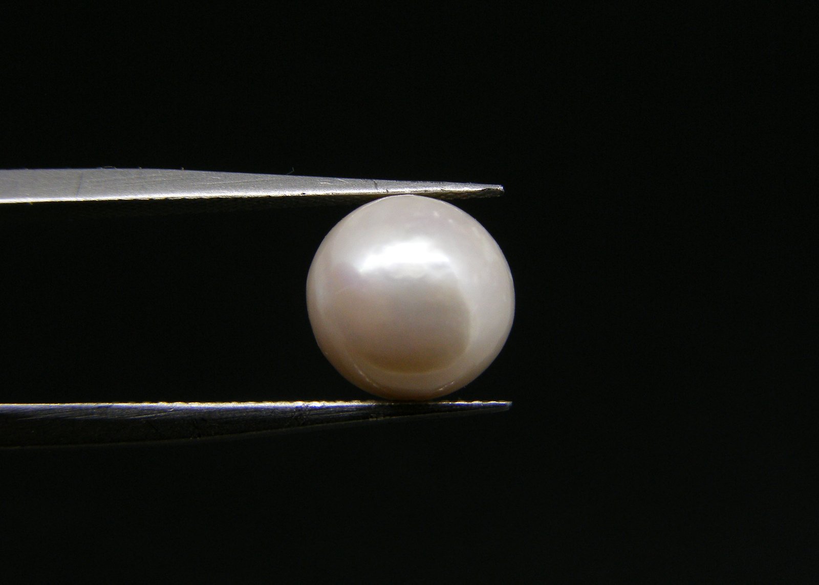 South Sea Pearl