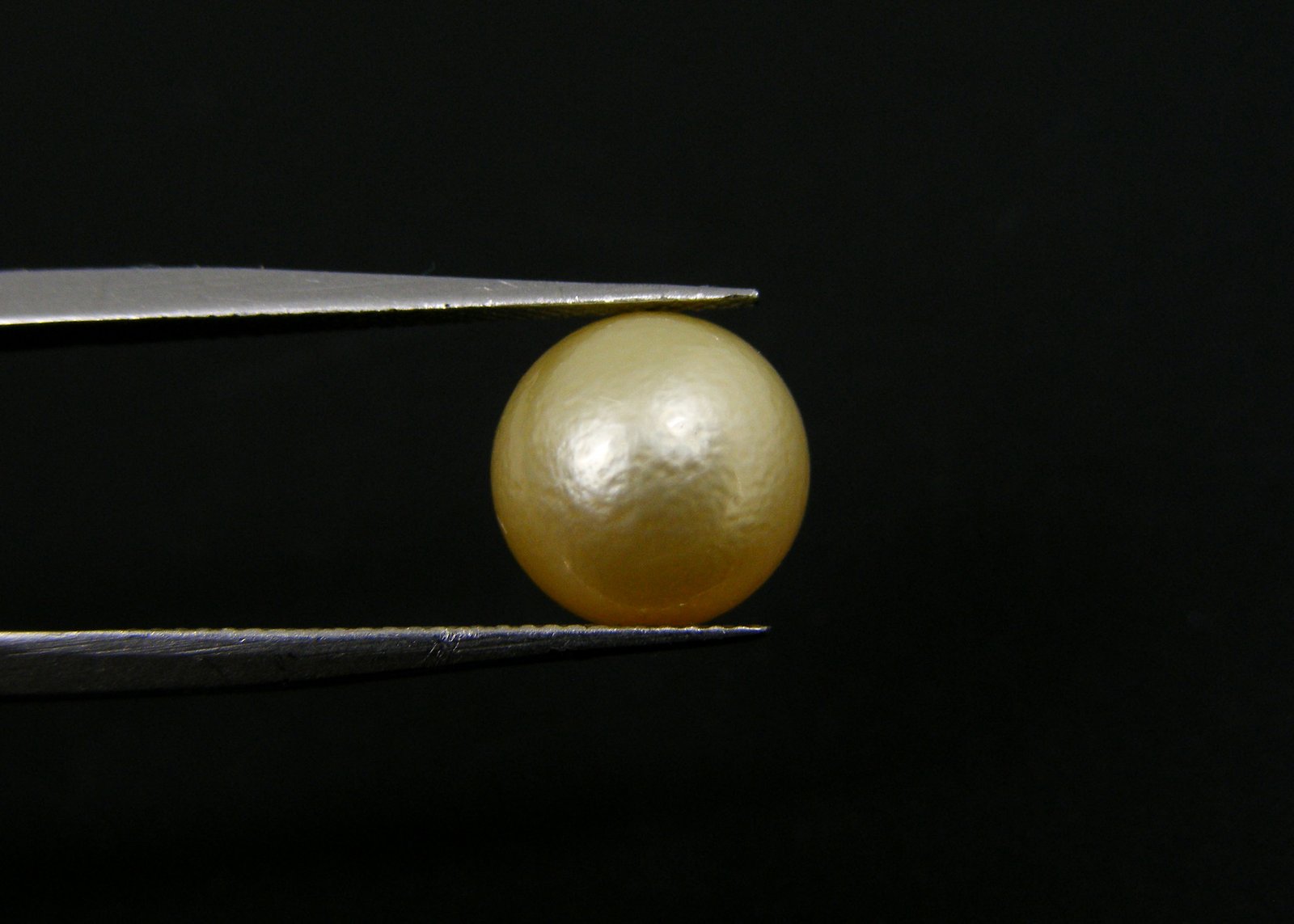 South Sea Pearl