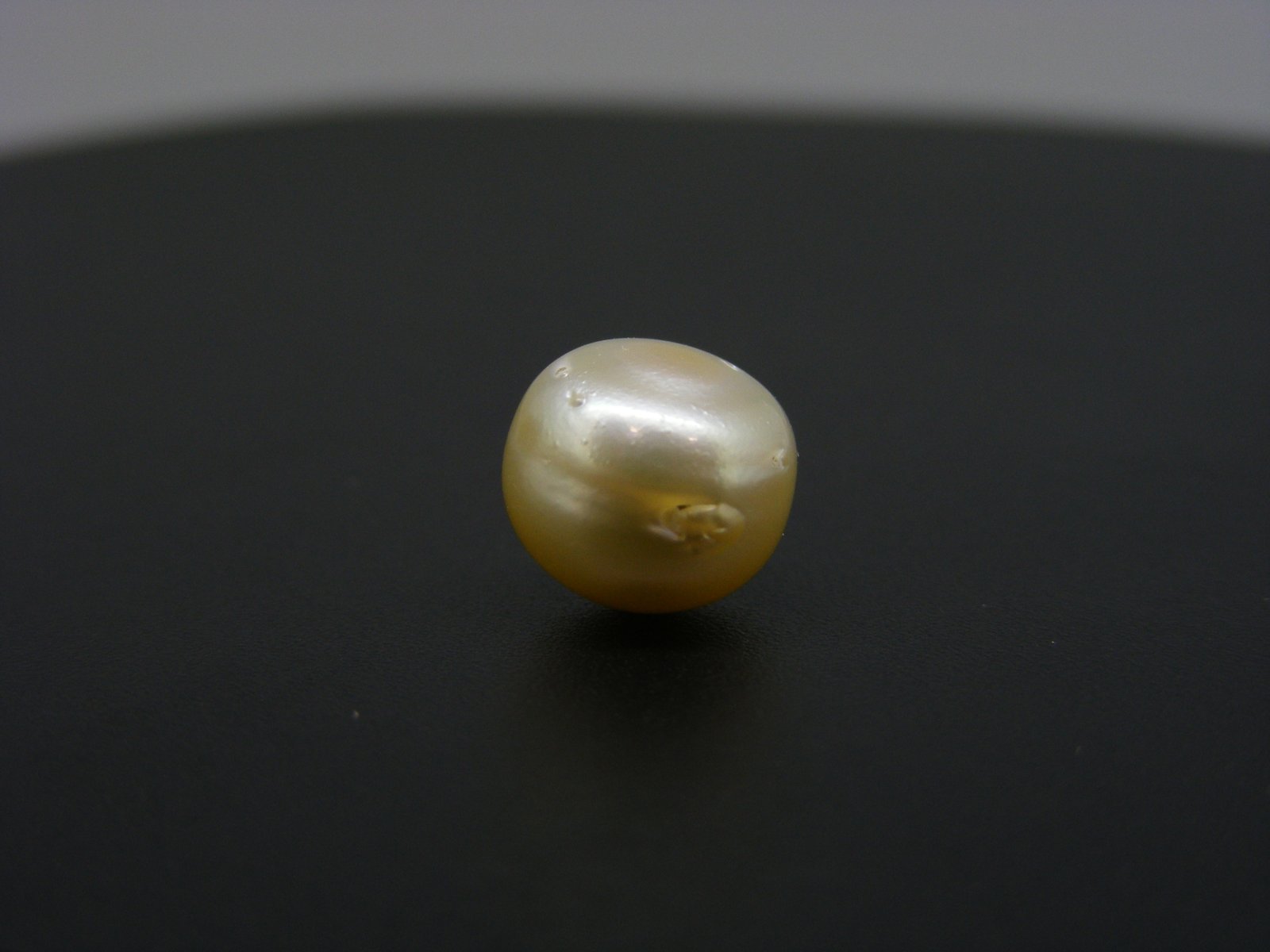 South Sea Pearl
