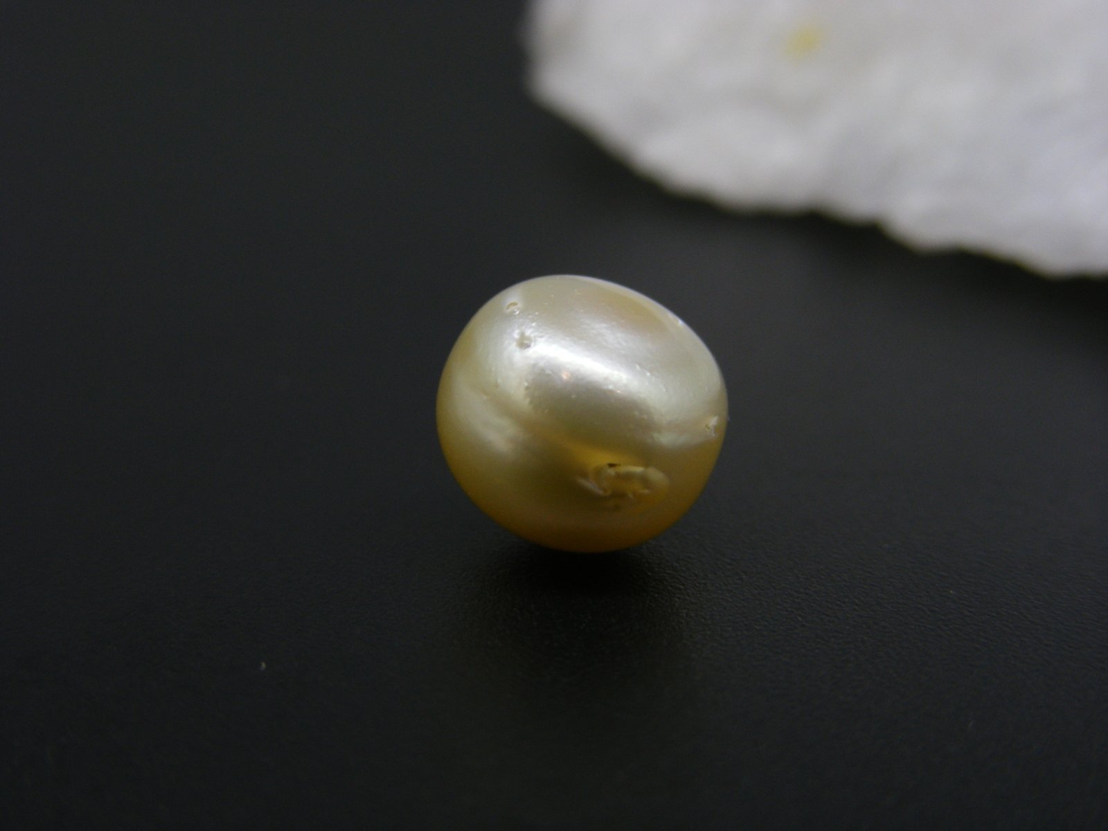 South Sea Pearl