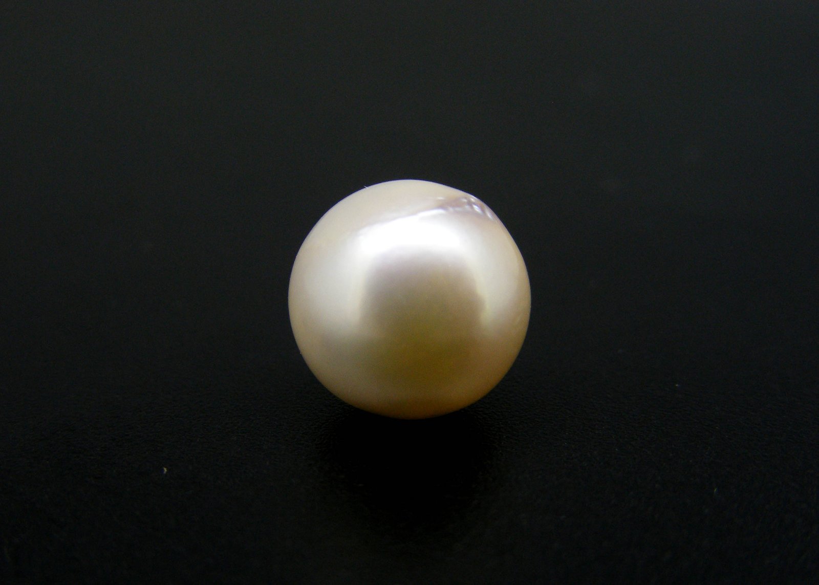 South Sea Pearl