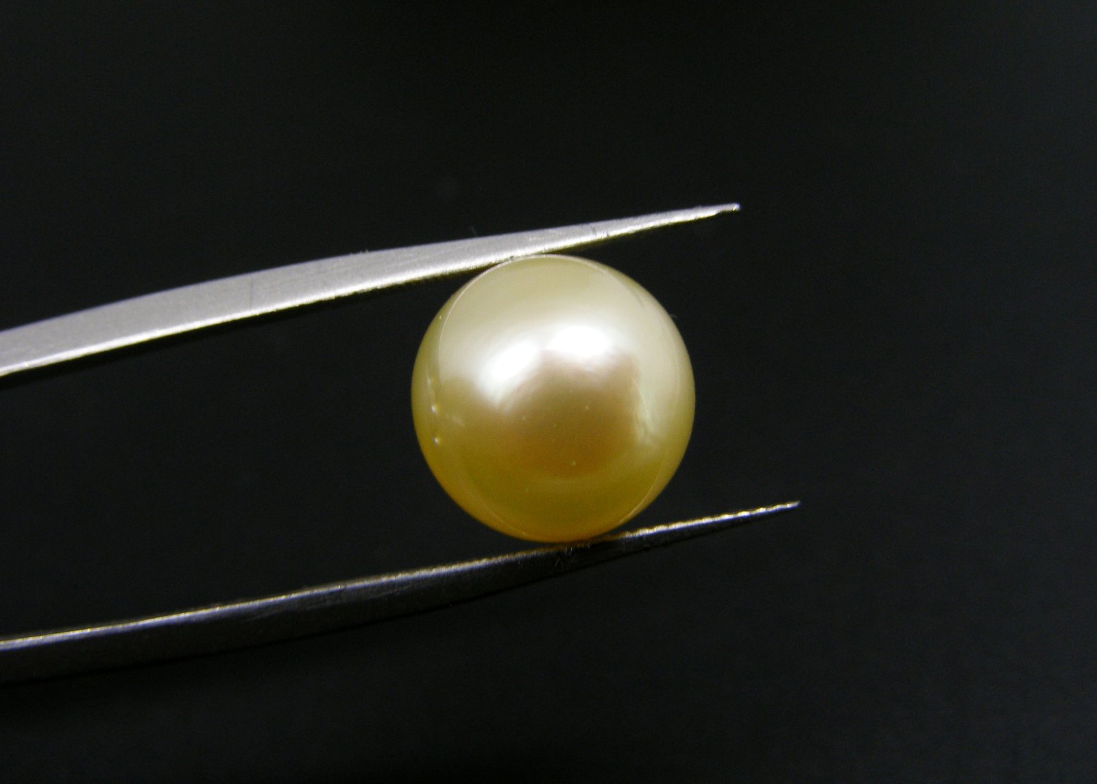 South Sea Pearl