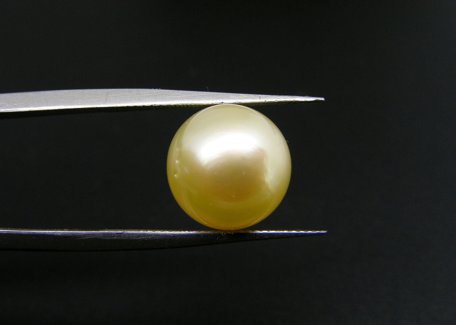 South Sea Pearl