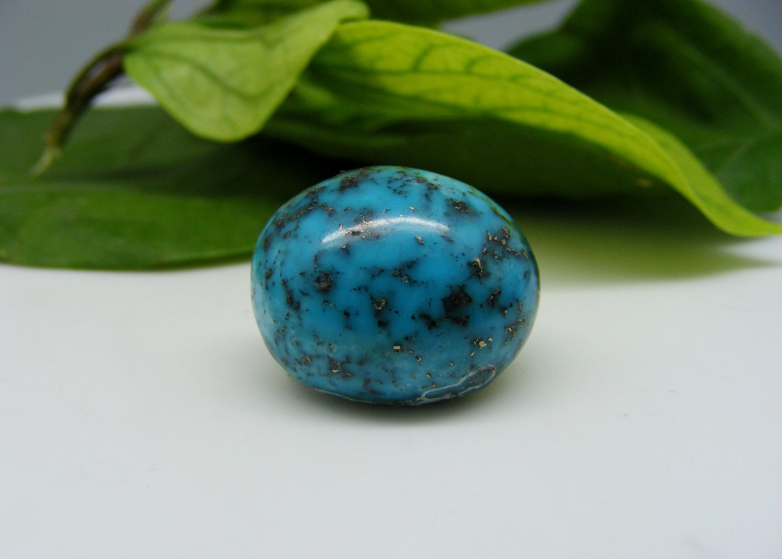 Natural Irani Turquoise (Firoza)