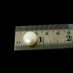 Pearl is a very prominent gemstone that is found in ocean beds. It is worn both as jewelry and as a stone for astrological benefits. Pearl is also known as Moti, Mukta, Induratna, Shairatna, and Moktim