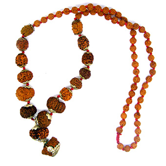 9 Mukhi Rudraksha These 9 Mukhi Rudraksha represent Goddess Durga. This Rudraksha blesses its wearers with the nine powers of Durga, like Courage and confidence.