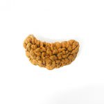 One Mukhi Rudraksha is appraised to be the 3rd eye of lord Shiva and subsequently has the power to overcome various circumstances of life. It has no certain purpose and hence is used or worshipped for overall well-being in various fields of life. 