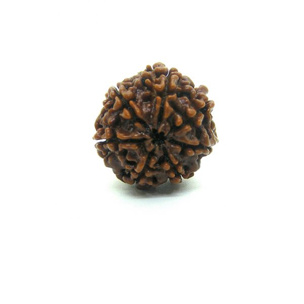 7 mukhi ruraksha 7 mukhi rudraksha 7 mukhi rudraksha price 7 mukhi rudraksha mala 7 mukhi rudraksha benefits 7 mukhi rudraksha bracelet 7 mukhi rudraksha benefits in hindi 7 mukhi rudraksha original 7 mukhi rudraksha online 7 mukhi rudraksha pendant 7 mukhi rudraksha mala original 7 mukhi rudraksha buy online 7 mukhi rudraksha buy 7 mukhi rudraksha big size 7 mukhi rudraksha bracelet benefits 7 mukhi rudraksha beads benefits seven mukhi rudraksha bracelet 7 mukhi rudraksha in black thread 7 mukhi rudraksha certified 7 mukhi rudraksha cost 7 mukhi rudraksha combination 7 mukhi rudraksha chakra 7 mukhi collector rudraksha 7 mukhi rudraksha pandit.com 2 6 7 mukhi rudraksha combination 7 and 14 mukhi rudraksha combination 7 and 8 mukhi rudraksha combination 7 8 12 mukhi rudraksha combination 7 mukhi rudraksha wearing day 7 mukhi rudraksha ebay 7 mukhi rudraksha side effects 7 mukhi rudraksha flipkart 7 mukhi rudraksha for shani 7 mukhi rudraksha for 7 mukhi rudraksha for rahu 7 mukhi rudraksha isha foundation 7 mukhi rudraksha god 7 mukhi ganesh rudraksha 7 mukhi gauri shankar rudraksha benefits 7 mukhi ruraksha hindi 7 mukhi ruraksha hai 7 mukhi rudraksha price in malaysia 7 mukhi rudraksha isha 7 mukhi rudraksha images 7 mukhi rudraksha in red thread 7 mukhi rudraksha info 7 mukhi rudraksha price in nepal 7 mukhi rudraksha price in india 7 mukhi rudraksha mala in silver 7 mukhi rudraksha kitne ka hai 7 mukhi rudraksha ki price 7 mukhi rudraksha ki kimat 7 mukhi rudraksha ki kimat kya hai 7 mukhi rudraksha ka price 7 mukhi rudraksha kamdev 7 mukhi rudraksha lord 7 mukhi rudraksha locket 7 mukhi rudraksha life 7 mukhi rudraksha mala price 7 mukhi rudraksha mala benefits 7 mukhi rudraksha mala original price 7 mukhi rudraksha mala nepal 7 mukhi rudraksha mantra seven mukhi rudraksha mala 7 mukhi nepali rudraksha price 7 mukhi nepali rudraksha 7 mukhi rudraksha nepal 7 mukhi nepali rudraksha mala 7 mukhi nepali rudraksha bracelet 7 mukhi nepal rudraksha price original 7 mukhi rudraksha original 7 mukhi rudraksha price seven mukhi rudraksha price rudraksha 7 mukhi price 7 mukhi rudraksha rudralife 7 mukhi rudraksha ring 7 mukhi rudraksha ratna 7 mukhi rudraksha reviews 7 mukhi rudraksha results 7 mukhi rudraksha ruling planet 7 mukhi rudraksha saturn 7 mukhi rudraksha shivago 7 mukhi ruraksha thread 7 mukhi rudraksha venus 7 mukhi rudraksha wholesale price wearing 7 mukhi rudraksha what is 7 mukhi rudraksha 7 and 10 mukhi rudraksha combination 7 8 12 mukhi rudraksha 1 mukhi rudraksha mala 3 mukhi rudraksha original 4 6 7 mukhi rudraksha 5 mukhi and 7 mukhi rudraksha 6 and 7 mukhi rudraksha 6 7 8 mukhi rudraksha combination 7 8 9 mukhi rudraksha 7 and 8 mukhi rudraksha