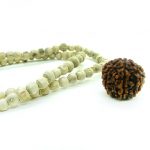 7 mukhi ruraksha 7 mukhi rudraksha 7 mukhi rudraksha price 7 mukhi rudraksha mala 7 mukhi rudraksha benefits 7 mukhi rudraksha bracelet 7 mukhi rudraksha benefits in hindi 7 mukhi rudraksha original 7 mukhi rudraksha online 7 mukhi rudraksha pendant 7 mukhi rudraksha mala original 7 mukhi rudraksha buy online 7 mukhi rudraksha buy 7 mukhi rudraksha big size 7 mukhi rudraksha bracelet benefits 7 mukhi rudraksha beads benefits seven mukhi rudraksha bracelet 7 mukhi rudraksha in black thread 7 mukhi rudraksha certified 7 mukhi rudraksha cost 7 mukhi rudraksha combination 7 mukhi rudraksha chakra 7 mukhi collector rudraksha 7 mukhi rudraksha pandit.com 2 6 7 mukhi rudraksha combination 7 and 14 mukhi rudraksha combination 7 and 8 mukhi rudraksha combination 7 8 12 mukhi rudraksha combination 7 mukhi rudraksha wearing day 7 mukhi rudraksha ebay 7 mukhi rudraksha side effects 7 mukhi rudraksha flipkart 7 mukhi rudraksha for shani 7 mukhi rudraksha for 7 mukhi rudraksha for rahu 7 mukhi rudraksha isha foundation 7 mukhi rudraksha god 7 mukhi ganesh rudraksha 7 mukhi gauri shankar rudraksha benefits 7 mukhi ruraksha hindi 7 mukhi ruraksha hai 7 mukhi rudraksha price in malaysia 7 mukhi rudraksha isha 7 mukhi rudraksha images 7 mukhi rudraksha in red thread 7 mukhi rudraksha info 7 mukhi rudraksha price in nepal 7 mukhi rudraksha price in india 7 mukhi rudraksha mala in silver 7 mukhi rudraksha kitne ka hai 7 mukhi rudraksha ki price 7 mukhi rudraksha ki kimat 7 mukhi rudraksha ki kimat kya hai 7 mukhi rudraksha ka price 7 mukhi rudraksha kamdev 7 mukhi rudraksha lord 7 mukhi rudraksha locket 7 mukhi rudraksha life 7 mukhi rudraksha mala price 7 mukhi rudraksha mala benefits 7 mukhi rudraksha mala original price 7 mukhi rudraksha mala nepal 7 mukhi rudraksha mantra seven mukhi rudraksha mala 7 mukhi nepali rudraksha price 7 mukhi nepali rudraksha 7 mukhi rudraksha nepal 7 mukhi nepali rudraksha mala 7 mukhi nepali rudraksha bracelet 7 mukhi nepal rudraksha price original 7 mukhi rudraksha original 7 mukhi rudraksha price seven mukhi rudraksha price rudraksha 7 mukhi price 7 mukhi rudraksha rudralife 7 mukhi rudraksha ring 7 mukhi rudraksha ratna 7 mukhi rudraksha reviews 7 mukhi rudraksha results 7 mukhi rudraksha ruling planet 7 mukhi rudraksha saturn 7 mukhi rudraksha shivago 7 mukhi ruraksha thread 7 mukhi rudraksha venus 7 mukhi rudraksha wholesale price wearing 7 mukhi rudraksha what is 7 mukhi rudraksha 7 and 10 mukhi rudraksha combination 7 8 12 mukhi rudraksha 1 mukhi rudraksha mala 3 mukhi rudraksha original 4 6 7 mukhi rudraksha 5 mukhi and 7 mukhi rudraksha 6 and 7 mukhi rudraksha 6 7 8 mukhi rudraksha combination 7 8 9 mukhi rudraksha 7 and 8 mukhi rudraksha