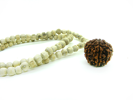 7 mukhi ruraksha 7 mukhi rudraksha 7 mukhi rudraksha price 7 mukhi rudraksha mala 7 mukhi rudraksha benefits 7 mukhi rudraksha bracelet 7 mukhi rudraksha benefits in hindi 7 mukhi rudraksha original 7 mukhi rudraksha online 7 mukhi rudraksha pendant 7 mukhi rudraksha mala original 7 mukhi rudraksha buy online 7 mukhi rudraksha buy 7 mukhi rudraksha big size 7 mukhi rudraksha bracelet benefits 7 mukhi rudraksha beads benefits seven mukhi rudraksha bracelet 7 mukhi rudraksha in black thread 7 mukhi rudraksha certified 7 mukhi rudraksha cost 7 mukhi rudraksha combination 7 mukhi rudraksha chakra 7 mukhi collector rudraksha 7 mukhi rudraksha pandit.com 2 6 7 mukhi rudraksha combination 7 and 14 mukhi rudraksha combination 7 and 8 mukhi rudraksha combination 7 8 12 mukhi rudraksha combination 7 mukhi rudraksha wearing day 7 mukhi rudraksha ebay 7 mukhi rudraksha side effects 7 mukhi rudraksha flipkart 7 mukhi rudraksha for shani 7 mukhi rudraksha for 7 mukhi rudraksha for rahu 7 mukhi rudraksha isha foundation 7 mukhi rudraksha god 7 mukhi ganesh rudraksha 7 mukhi gauri shankar rudraksha benefits 7 mukhi ruraksha hindi 7 mukhi ruraksha hai 7 mukhi rudraksha price in malaysia 7 mukhi rudraksha isha 7 mukhi rudraksha images 7 mukhi rudraksha in red thread 7 mukhi rudraksha info 7 mukhi rudraksha price in nepal 7 mukhi rudraksha price in india 7 mukhi rudraksha mala in silver 7 mukhi rudraksha kitne ka hai 7 mukhi rudraksha ki price 7 mukhi rudraksha ki kimat 7 mukhi rudraksha ki kimat kya hai 7 mukhi rudraksha ka price 7 mukhi rudraksha kamdev 7 mukhi rudraksha lord 7 mukhi rudraksha locket 7 mukhi rudraksha life 7 mukhi rudraksha mala price 7 mukhi rudraksha mala benefits 7 mukhi rudraksha mala original price 7 mukhi rudraksha mala nepal 7 mukhi rudraksha mantra seven mukhi rudraksha mala 7 mukhi nepali rudraksha price 7 mukhi nepali rudraksha 7 mukhi rudraksha nepal 7 mukhi nepali rudraksha mala 7 mukhi nepali rudraksha bracelet 7 mukhi nepal rudraksha price original 7 mukhi rudraksha original 7 mukhi rudraksha price seven mukhi rudraksha price rudraksha 7 mukhi price 7 mukhi rudraksha rudralife 7 mukhi rudraksha ring 7 mukhi rudraksha ratna 7 mukhi rudraksha reviews 7 mukhi rudraksha results 7 mukhi rudraksha ruling planet 7 mukhi rudraksha saturn 7 mukhi rudraksha shivago 7 mukhi ruraksha thread 7 mukhi rudraksha venus 7 mukhi rudraksha wholesale price wearing 7 mukhi rudraksha what is 7 mukhi rudraksha 7 and 10 mukhi rudraksha combination 7 8 12 mukhi rudraksha 1 mukhi rudraksha mala 3 mukhi rudraksha original 4 6 7 mukhi rudraksha 5 mukhi and 7 mukhi rudraksha 6 and 7 mukhi rudraksha 6 7 8 mukhi rudraksha combination 7 8 9 mukhi rudraksha 7 and 8 mukhi rudraksha