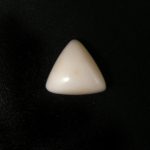 white coral/munga, white coral for moon, white moonga ring, white moonga stone, white moonga benefits, white moonga, original white coral price, coral (moonga), white moonga price, white, moonga vs red moonga, white moonga stone in english, japanese white coral, white moonga ke fayde,